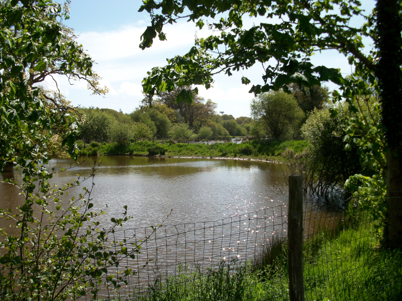 Vue de l'étang avec la clôture